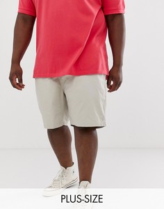 Светло-бежевые шорты-чиносы с логотипом Polo Ralph Lauren Big & Tall - Prepster-Светло-бежевый