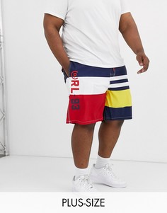Пляжные шорты с полосками Polo Ralph Lauren Big & Tall Kailua-Мульти