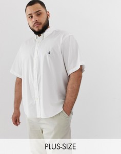 Белая легкая саржевая рубашка с короткими рукавами и логотипом Polo Ralph Lauren Big & Tall-Белый