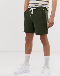 Трикотажные махровые шорты оливкового цвета с логотипом Hollister-Зеленый