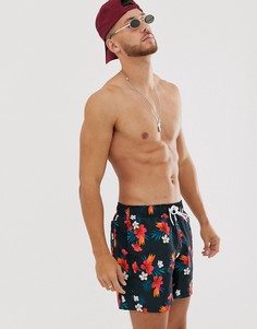 Черные шорты для плавания с цветочным принтом Hollister-Черный