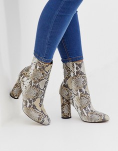 Кожаные ботильоны на каблуке со змеиным рисунком ASOS DESIGN Egypt-Мульти