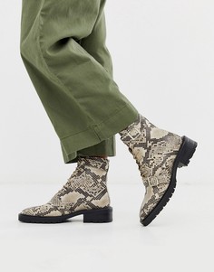 Бежевые кожаные ботинки в стиле милитари с отделкой под кожу змеи ASOS DESIGN Astrid-Мульти