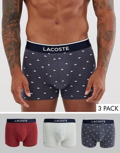Набор из 3 боксеров-брифов с логотипом Lacoste Colours-Мульти