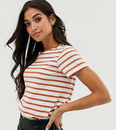 Футболка в полоску с круглым вырезом ASOS DESIGN Petite-Мульти