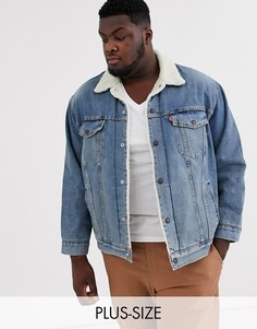 Светлая джинсовая куртка с подкладкой из искусственного меха Levis Big & Tall-Синий Levis®