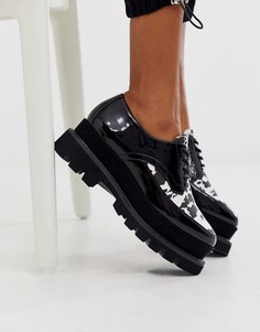 Туфли с принтом на платформе и шнуровке Truffle Collection-Черный