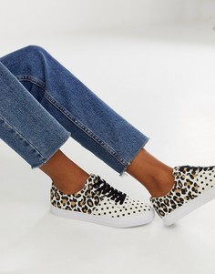 Кроссовки на шнуровке в горошек и с леопардовым принтом ASOS DESIGN Dollis-Мульти