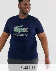 Темно-синяя футболка с большим логотипом Lacoste-Темно-синий