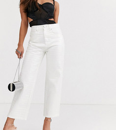 Джинсы прямого кроя с переливающимся крокодиловым рисунком ASOS DESIGN Petite Florence-Мульти