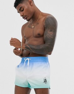 Голубые короткие шорты для плавания с эффектом омбре ASOS DESIGN-Синий