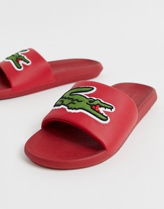 Красные шлепанцы с крупным логотипом Lacoste-Красный