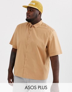 Светло-бежевая поплиновая oversize-рубашка ASOS DESIGN Plus-Светло-коричневый