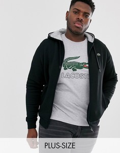 Худи черного цвета на молнии с логотипом Lacoste-Черный