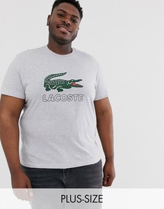 Серая футболка с большим логотипом на груди Lacoste-Серый