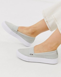 Серые парусиновые кроссовки Lacoste-Серый