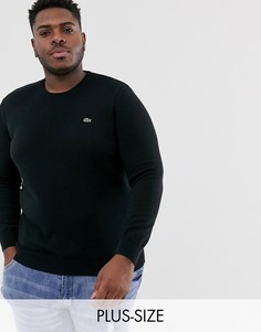 Черный хлопковый джемпер с круглым вырезом и логотипом Lacoste