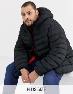 Черная дутая куртка с капюшоном Duke king size-Черный