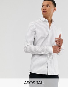 Рубашка скинни в белую и синюю полоску ASOS DESIGN Tall-Белый