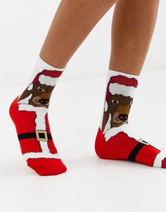 Новогодние носки с рисунком таксы в костюме Санта-Клауса ASOS DESIGN-Мульти