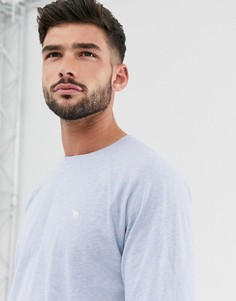 Голубой лонгслив с логотипом Abercrombie & Fitch-Синий