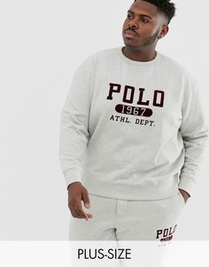 Серый флисовый свитшот с логотипом Ralph Lauren Big & Tall 1967