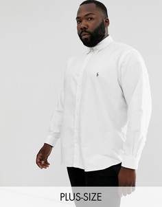 Белая оксфордская рубашка на пуговицах классического кроя с логотипом Ralph Lauren Big & Tall-Белый