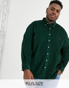 Зеленая вельветовая рубашка классического кроя с воротником на пуговицах Ralph Lauren - Big & Tall (college)-Зеленый