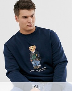 Темно-синий свитшот с принтом медведя Polo Ralph Lauren Big & Tall