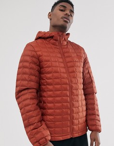 Оранжевая куртка с капюшоном The North Face Thermoball Eco-Оранжевый