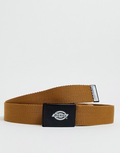 Коричневый ремень Dickies - Orcutt
