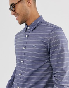 Рубашка в полоску с длинными рукавами Lacoste-Темно-синий