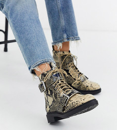 Походные ботинки с двумя пряжками и змеиным принтом Miss Selfridge-Кремовый