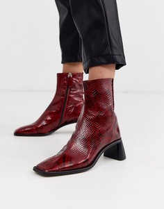 Красные ботильоны на каблуке с квадратным носом и змеиной отделкой Topshop-Черный