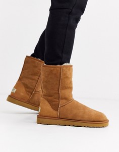 Замшевые короткие ботинки каштанового цвета UGG Classic-Коричневый