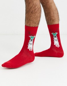 Носки до щиколотки с новогодним рисунком ASOS DESIGN-Красный