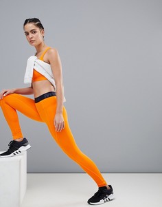 Оранжевые леггинсы с логотипом на поясе Ivy Park Active-Оранжевый
