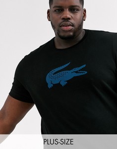 Черная футболка с большим логотипом в виде крокодила на груди Lacoste-Черный