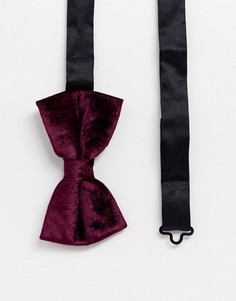 Темно-фиолетовый бархатный галстук-бабочка Moss London