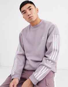 Сиреневый свитшот с логотипом adidas Originals-Фиолетовый