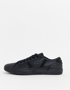 Черные кожаные кроссовки Lacoste sideline-Черный