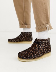 Черные ботинки с анималистичным принтом Clarks Originals wallabee-Коричневый