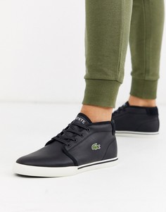 Черные ботинки чукка Lacoste amptill-Черный