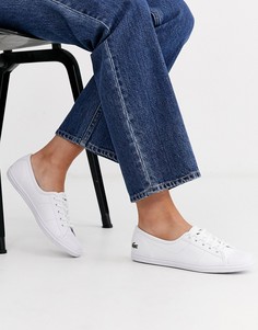 Белые кожаные кроссовки Lacoste-Белый