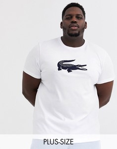Белая футболка с большим логотипом на груди Lacoste-Белый