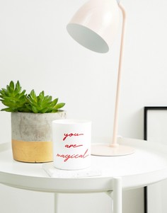 Свеча с ароматом граната и белого инжира Flamingo Candles-Мульти
