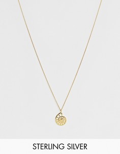 Ожерелье из позолоченного серебра с подвеской в виде ракушки ASOS DESIGN-Золотой