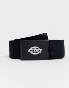 Черный ремень Dickies Orcutt