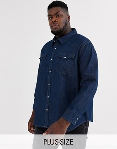 Классическая рубашка в стиле вестерн Levis PLUS-Синий Levis®