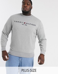 Серый свитшот с логотипом Tommy Hilfiger Big & Tall